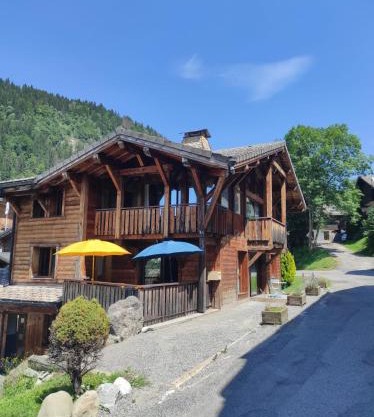 Chalet Robin - spa- multipass- terrain de pétanque