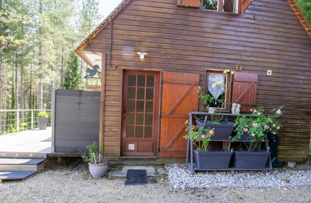 Chalet rustique au cœur du Périgord Noir avec terrasse et confort inclus - FR-1-616-397