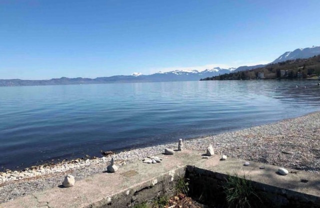 Chalet Savoyard facing Lake Geneva
