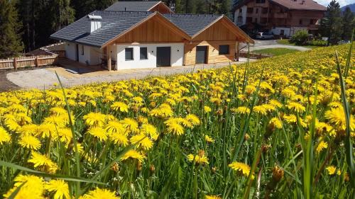 chalet soredl