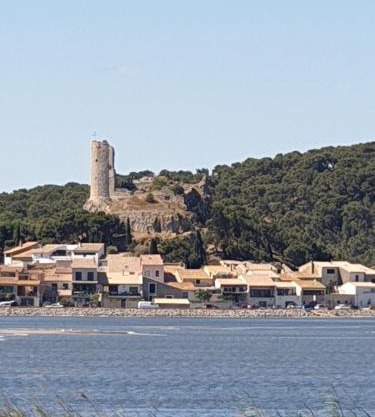 chalet typique 50 m de la mer