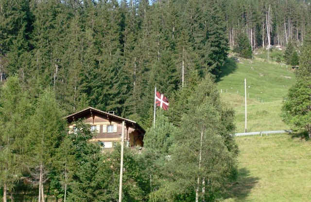 Chalet Weidli