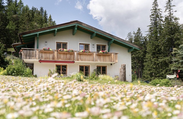 Chalet with exclusivity and privacy