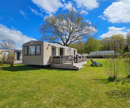 Chalet Zomerdroom Gasselte
