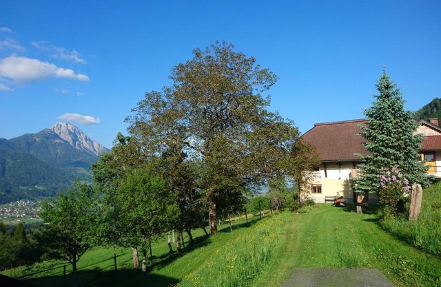 Chalets Alpin Kronhof