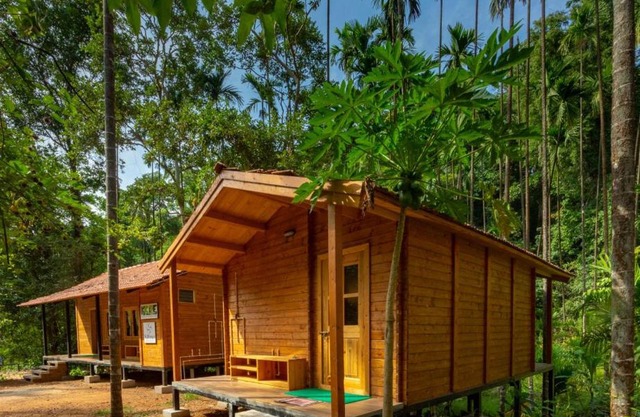 Chalets in Agumbe RainForest