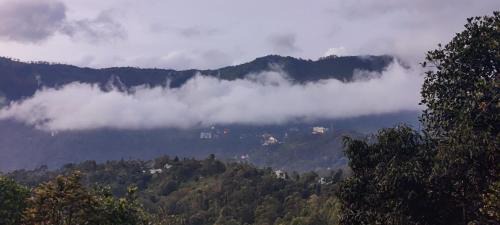 Chalona Hill View