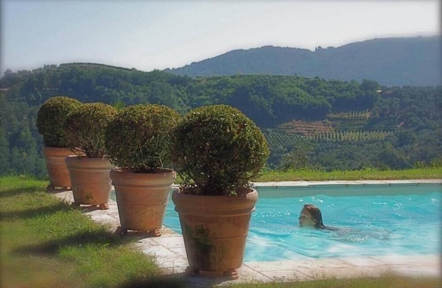 A las puertas de Lucca. El arte de vivir en la Toscana: encantadora casa con piscina