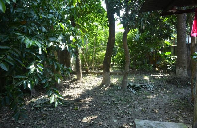 Chandannagar Hibisco