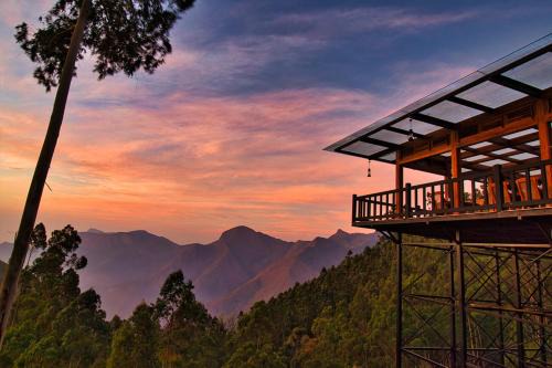Chandys Drizzle Drops - Munnar Top Station