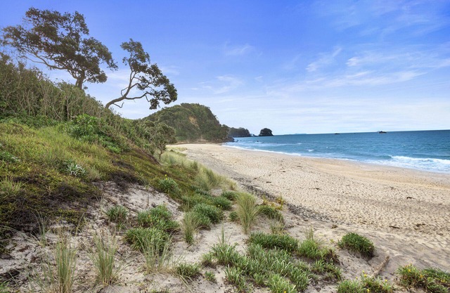 Changing Sands - Whiritoa Holiday Home