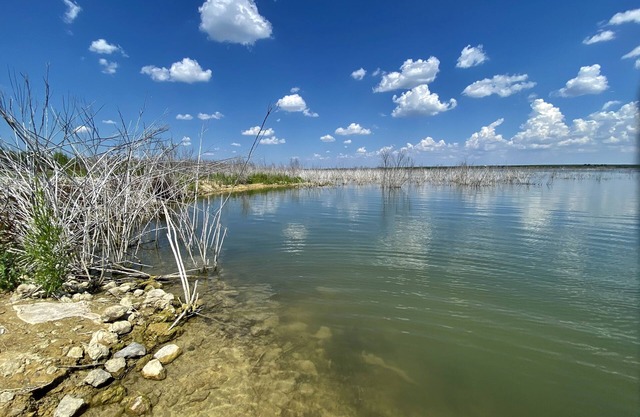 Chaparral de Lago 2