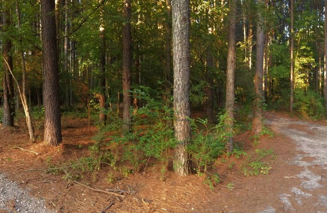 Charlotte: oasis rural de Carolina, 6 acres de serenidad cerca del lago Wylie SC ..