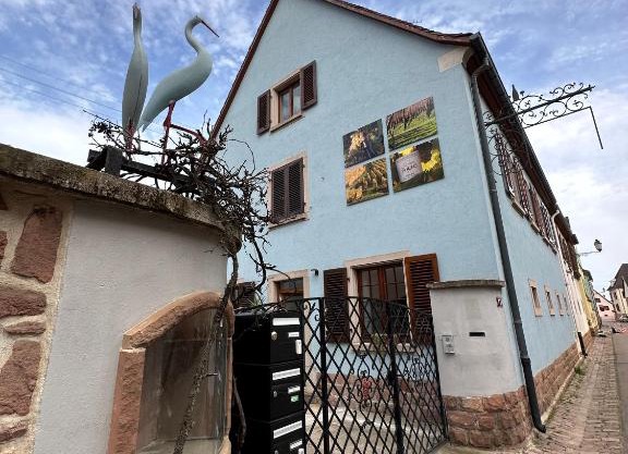 Charmant et chaleureux gîte dans le vignoble