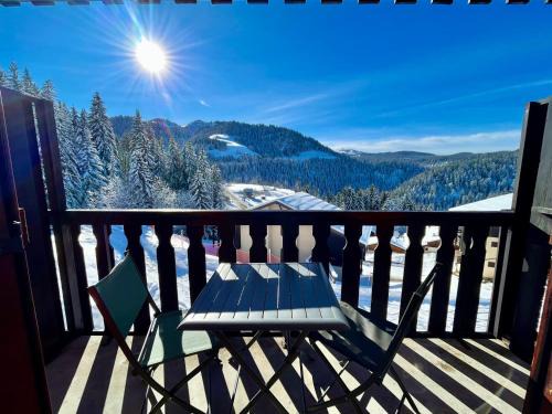 Charmant studio au pied des pistes, animaux admis - FR-1-505-79