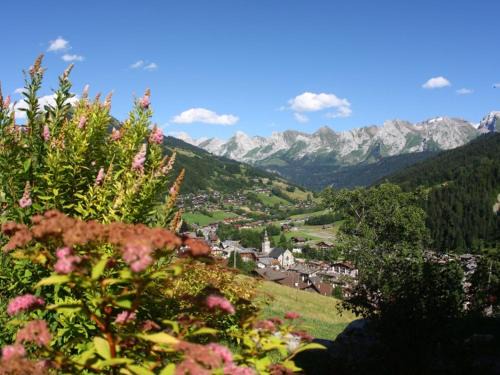 Charmant studio 3 pers avec parking au Grand-Bornand - FR-1-467-72