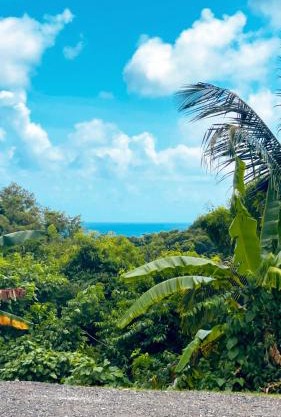 Charmant studio vue mer, O calme