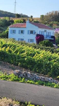 Charmant T3 en rez de jardin d'une villa