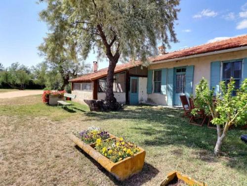 Charmante maison en Camargue avec piscine partagée