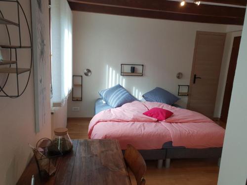 Charmantes chambres d'hôtes en montagne, animaux admis sur accord - FR-1-589-729
