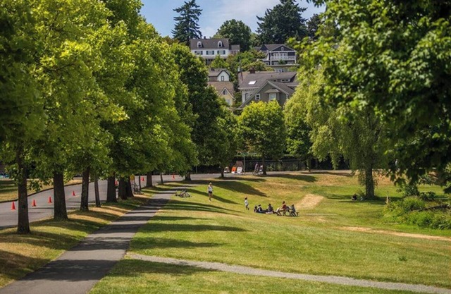 Charming 1-bedroom apartment in Mount Baker Neighborhood near Lake Washington