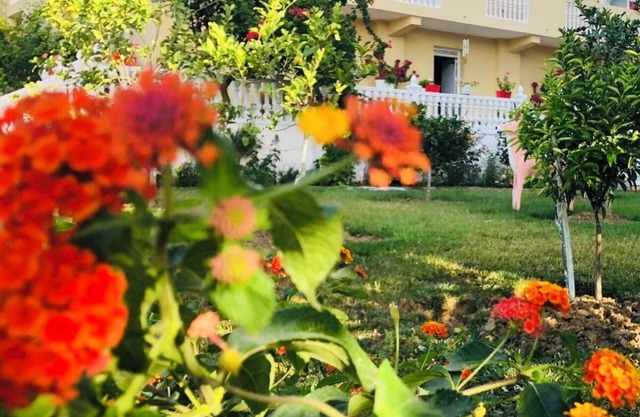 Charming 1-bedroom cottage in delightful Vlora,