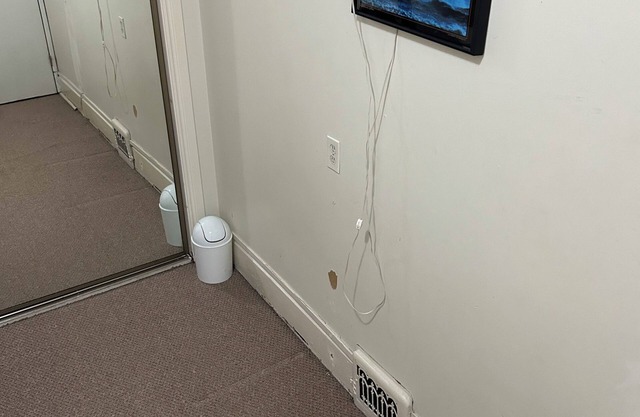 Charming 1-bedroom house in beautiful Toronto with WiFi