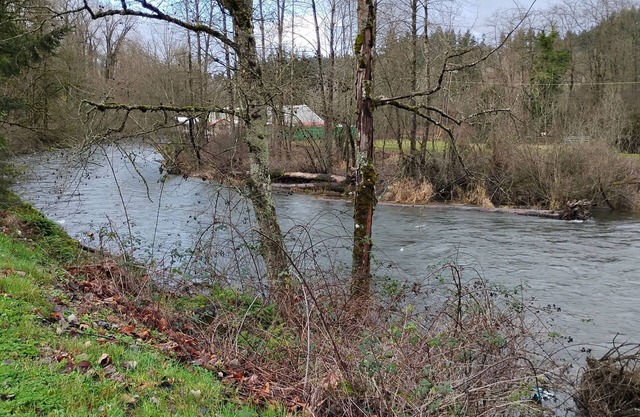 Charming 1-bedroom in Renton in a 4-bedroom ,3 bathroom house.Private bedroom