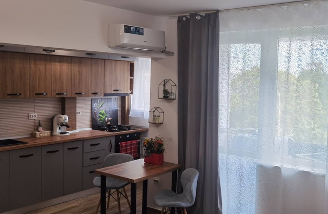 Charming 2-bedroom apartment with AC, WiFi in enchanting Ploiești