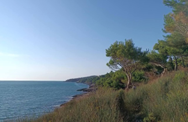 Charming 2-bedroom apartment with WiFi, AC in enchanting Bigova