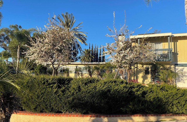 Charming 2-bedroom house with WiFi and AC in tranquil La Mesa