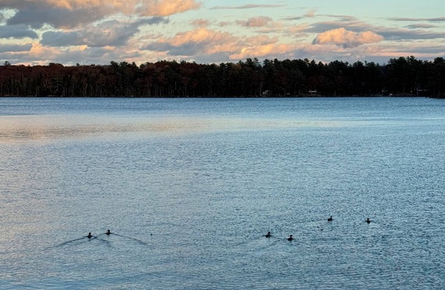 Charming 2-bedroom lakefront cottage in Central Maine with WiFi