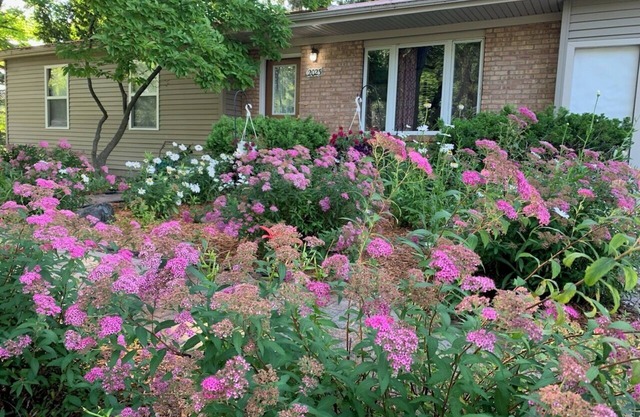 Charming 3-bedroom home in Mt Pleasant near colleges, Casino and children parks
