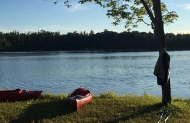 Charming 3 bedroom log cabin on Pickerel Lake in Fife Lake, MI + a guest house