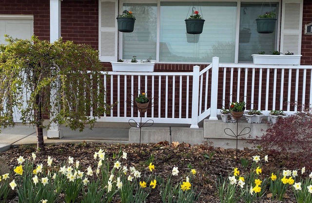 Charming 3-bedroom private basement suite in Layton with everything you'll need.