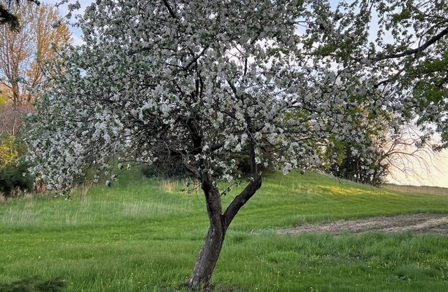 Charming 4-bedroom farmhouse in Rosemount with WiFi and AC