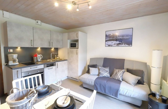 Charming apartment 1/3 pers, FREE 23/08 to 30/08....