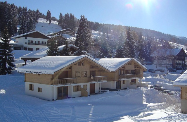 Charming apartment, 6 pers ` Savoyard style ', located at the foot of the slopes