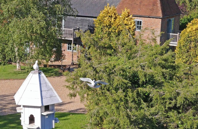 Alojamiento de 2 habitaciones en Sedlescombe