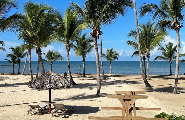 Charming Beach Apartment in Nueva Romana