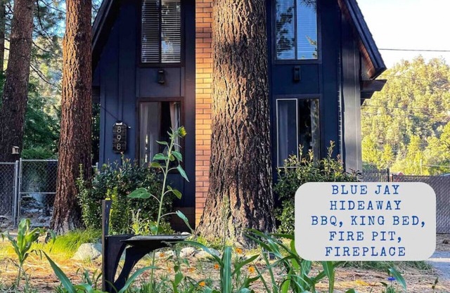 Charming Cabin | Kid & Pet Friendly, Wood Burning Fireplace