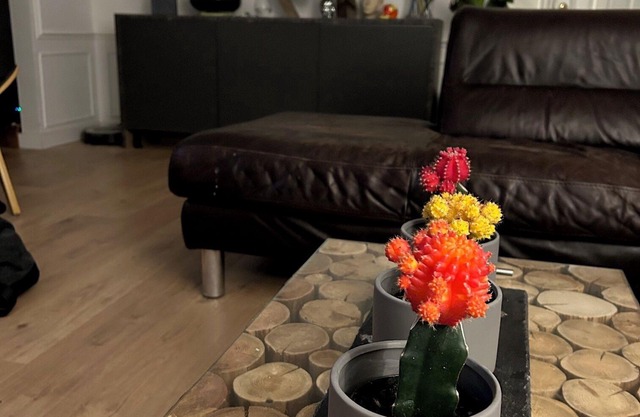 Charming Cobourg Escape: Steps from the Lake and Downtown