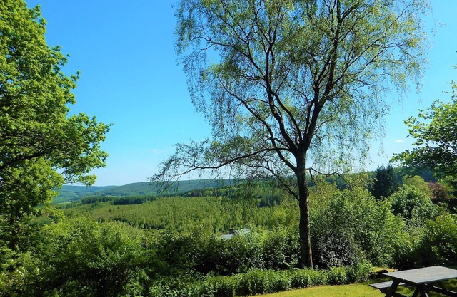 Encantadora casa de campo con impresionantes vistas del bosque de las Ardenas