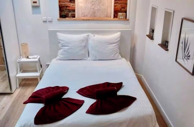 Charming duplex apartment in the heart of Toulouse