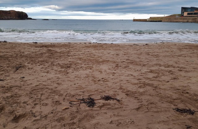 Charming Eyemouth apartment close the beach