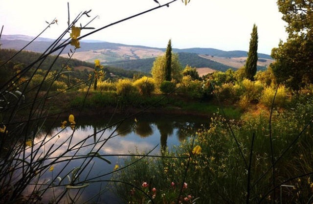 GRANJA CON ENCANTO ENTRE LOS VALLES Y LAS COLINAS MÁGICAS DEL SENESE