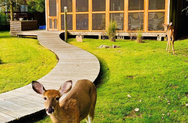Charming Fire Island Retreat
