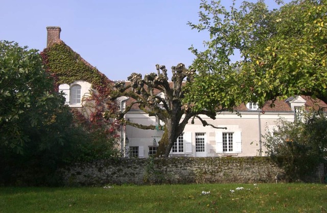 Casa rural con piscina, viñedo y cocina moderna, cerca de Chenonceaux y el Zoo de Beauval