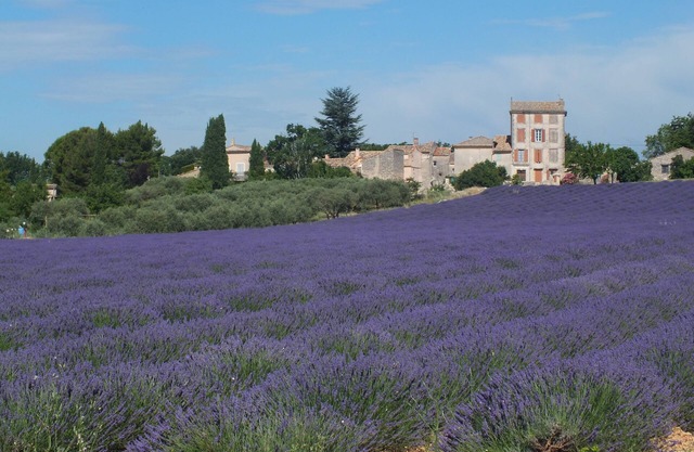 CASA CON ENCANTO EN PROVENCE ENTRE Ventoux y Luberon CASA INDEPENDIENTE