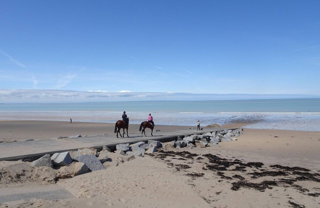 Charming holiday home, near Mont St-Michel.